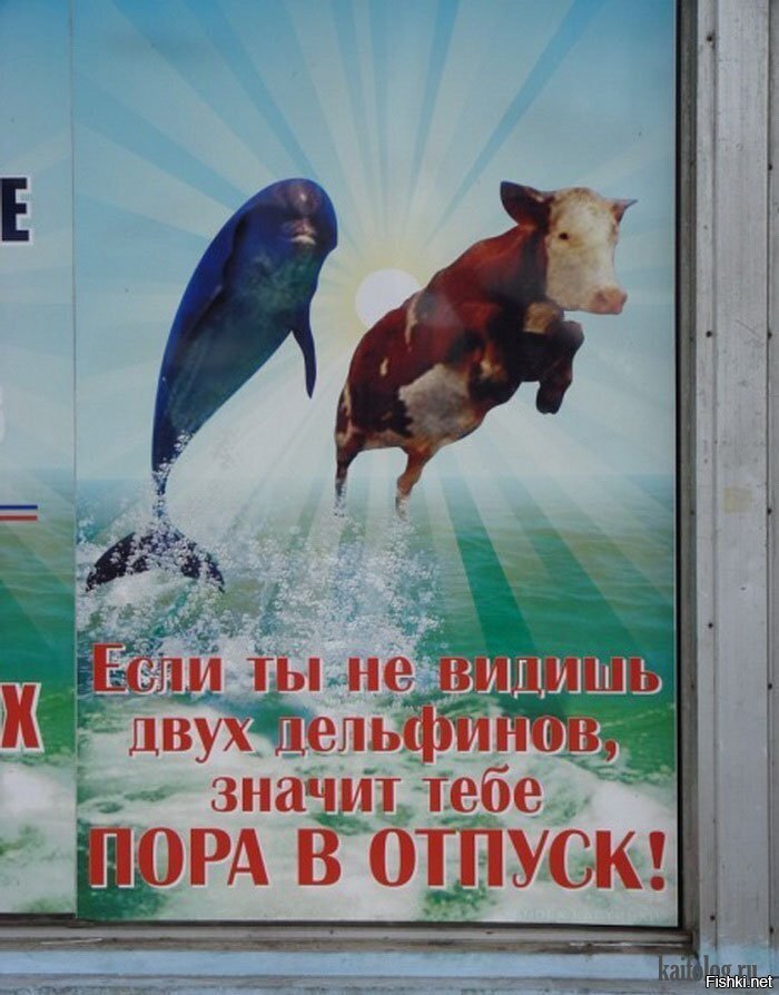 Из солянки