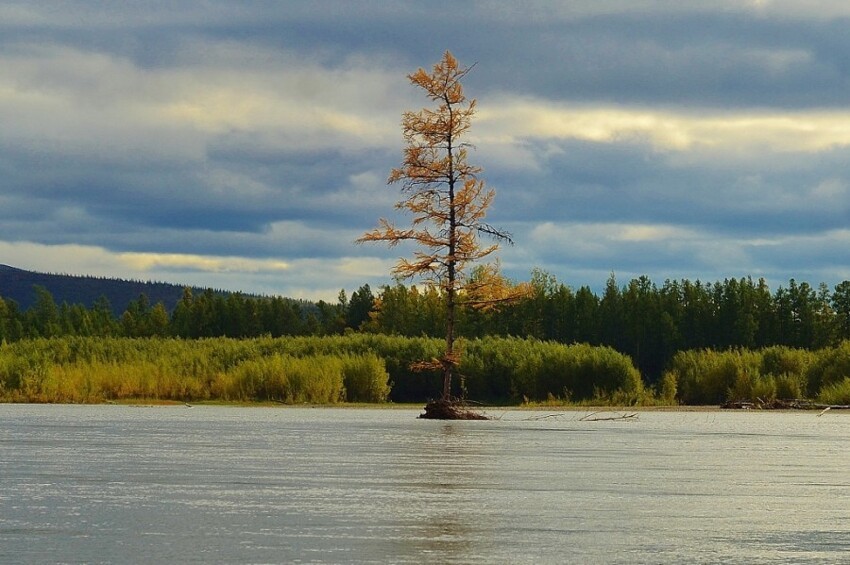 ДЕНЬ СЕДЬМОЙ