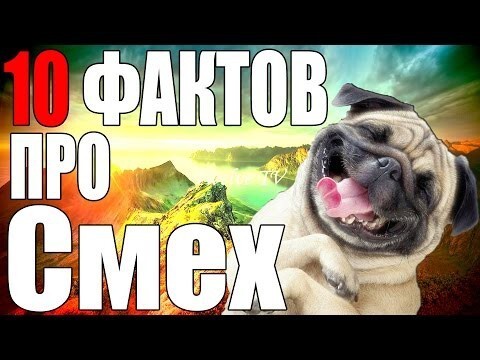 10 Интересных Фактов Про Смех 