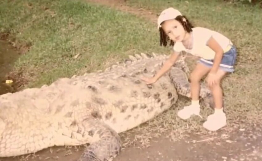Когда смотришь на отношения Чито и Почо, начинает казаться, что крокодилы действительно могут испытывать эмоции.
