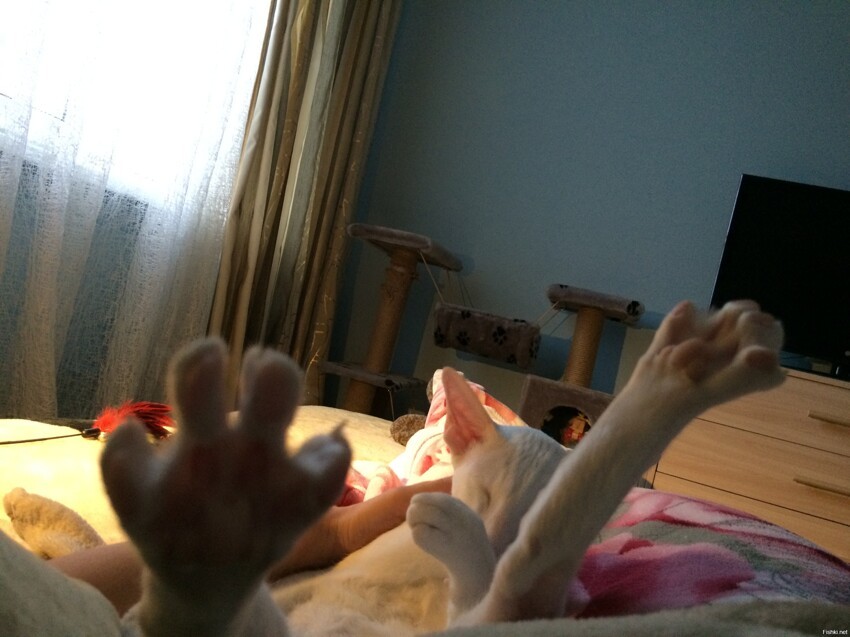 С добрым утром