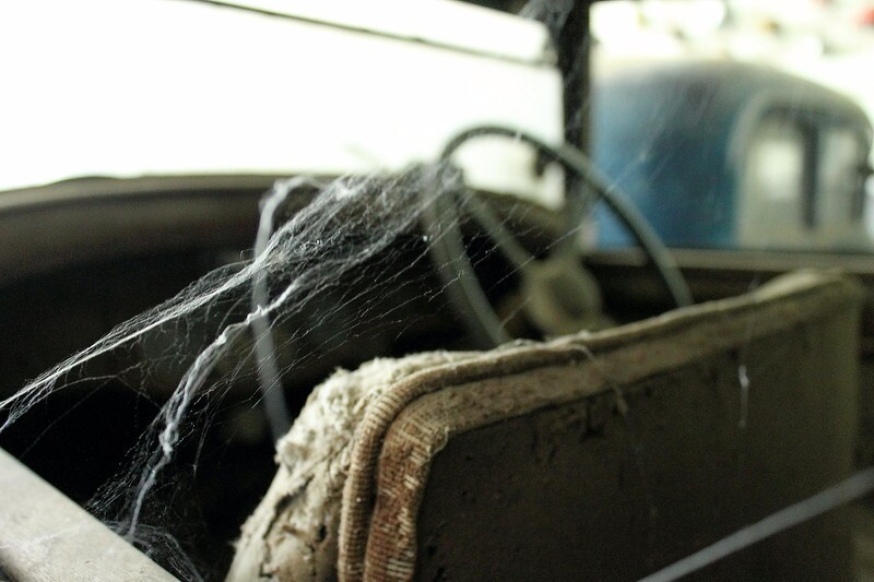 .В окне старого автомобиля таинственно серебрилась паутина