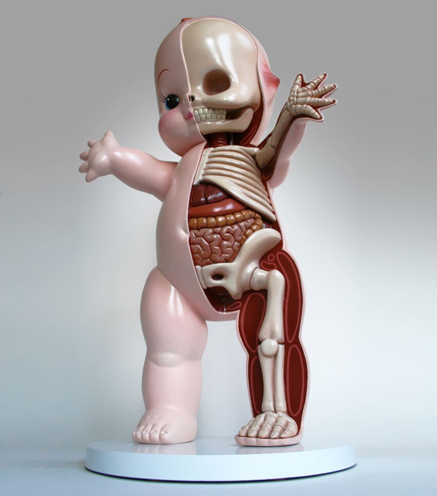 Скрытая анатомия игрушек