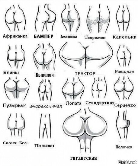 Из солянки