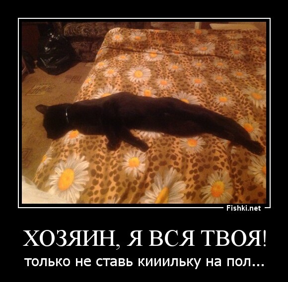 хозяин, я вся твоя!