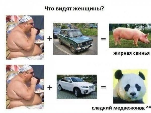 Автоприколы