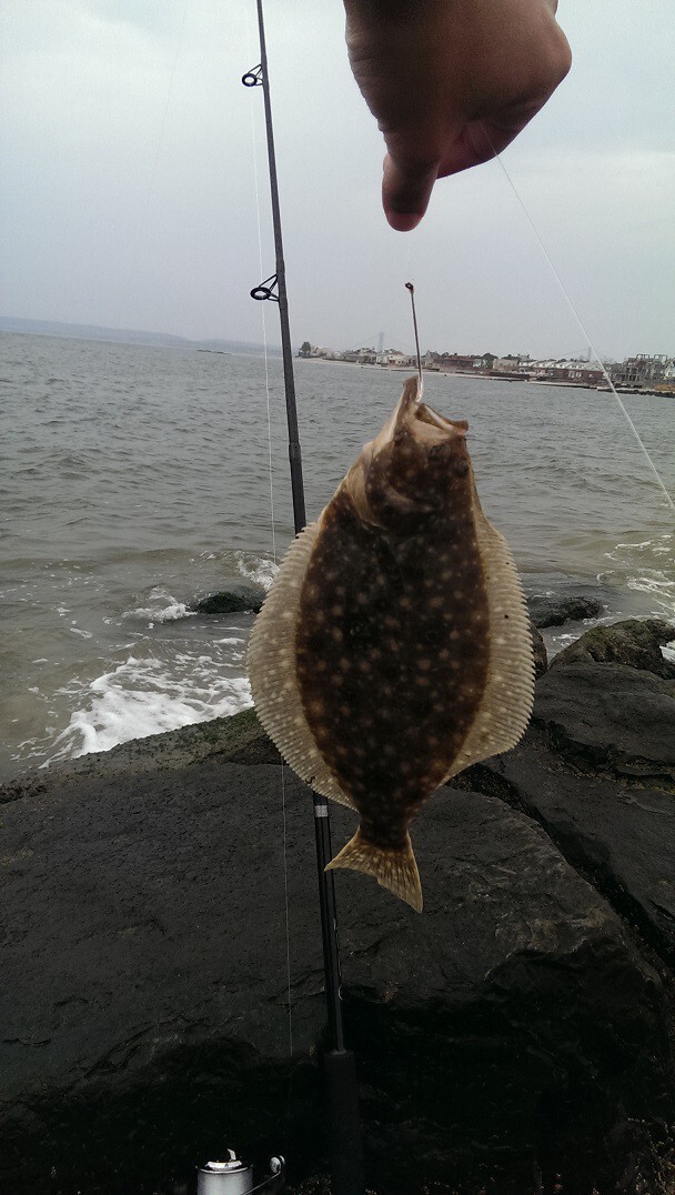 Рыбалка в Нью-Йорке (Бруклин)