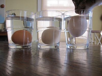 7. Научитесь определять степень свежести яйца