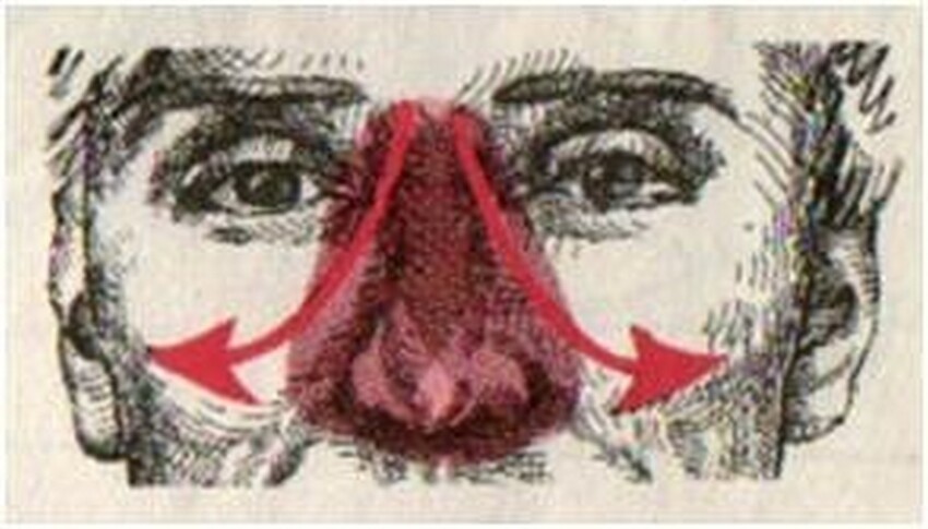 ЛАЙФХАК  http://ok.ru/layfkhak.prosha