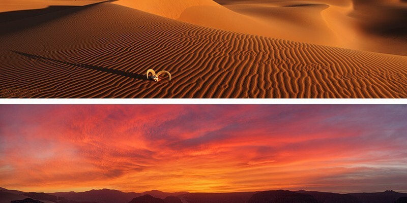 Красивейшие снимки самой большой пустыни в мире