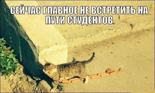 Приколы из соц.сетей