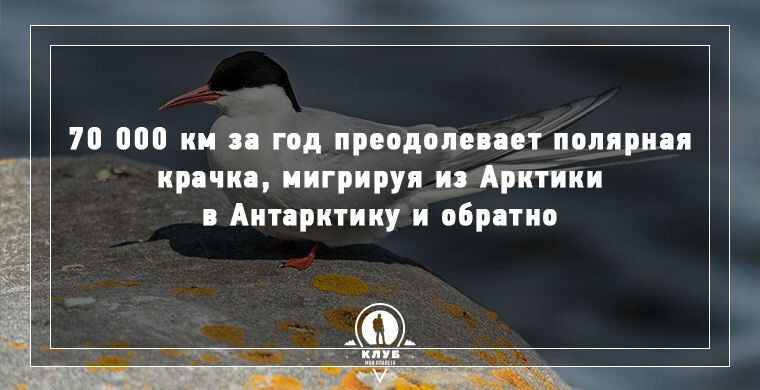 10 удивительных фактов о Земле