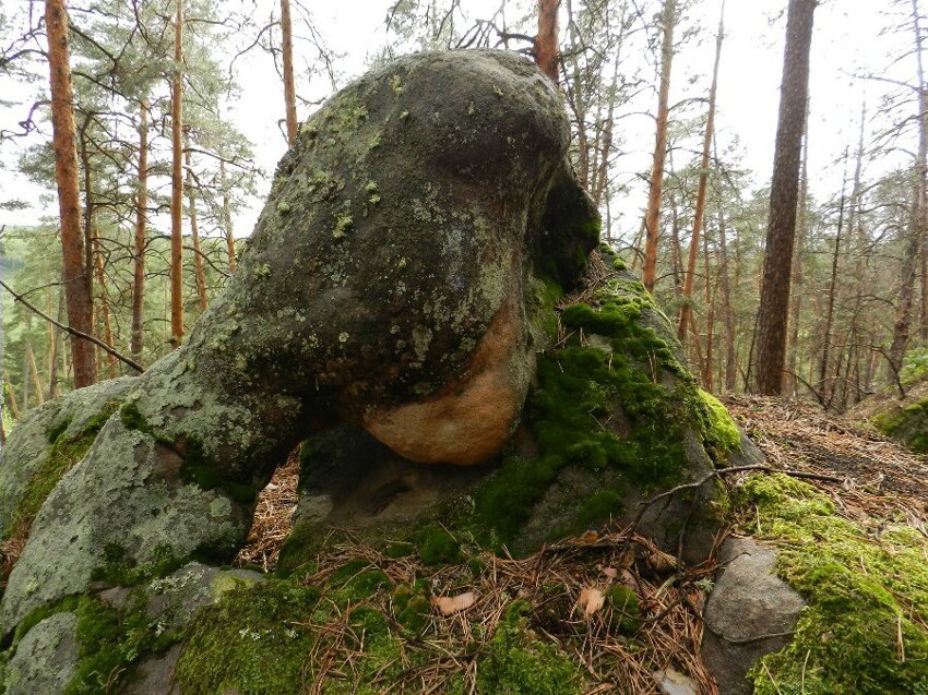 Камни древних Жигулевских гор