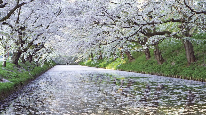 Необыкновенные парки Японии! 