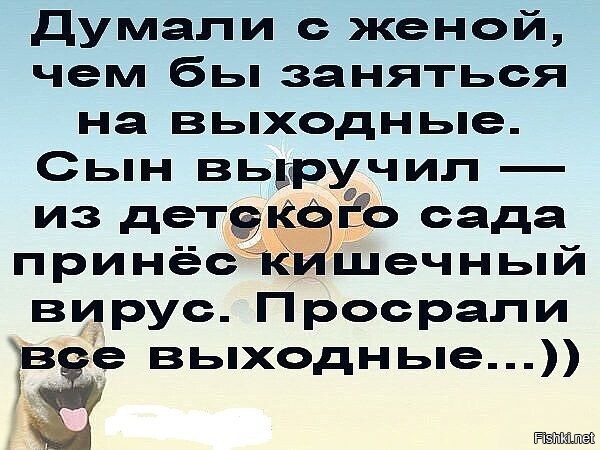 Из солянки