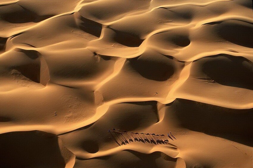 Караван в дюнах. Мавритания