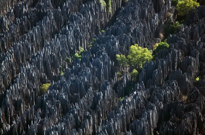 Каменный лес Цинги-де-Бемараха на Мадагаскаре