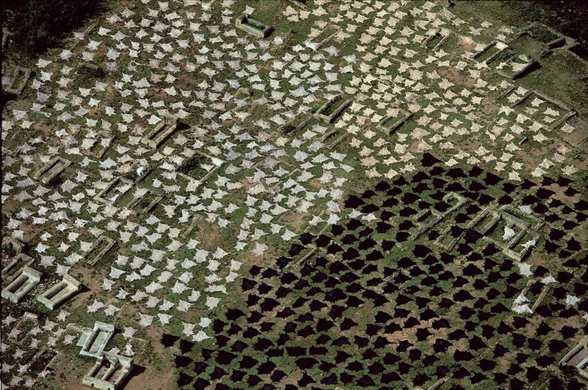 Кожсырье на заброшенном кладбище в Фесе, Марокко