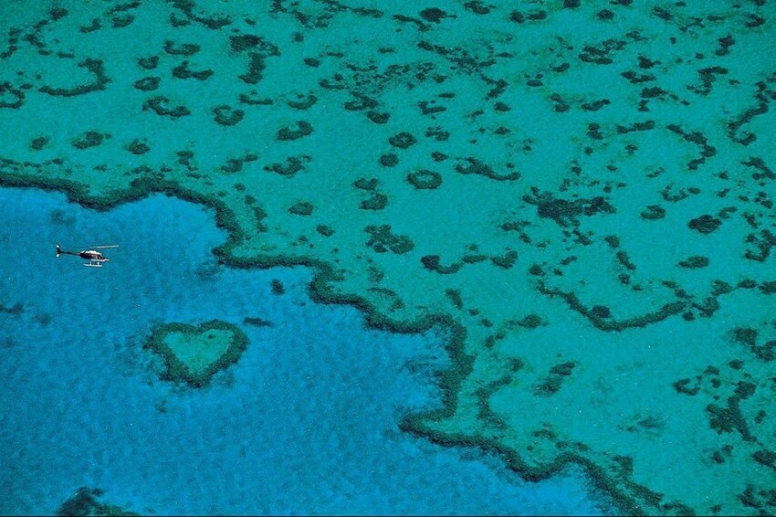 Большой Барьерный риф, Квинсленд, Австралия