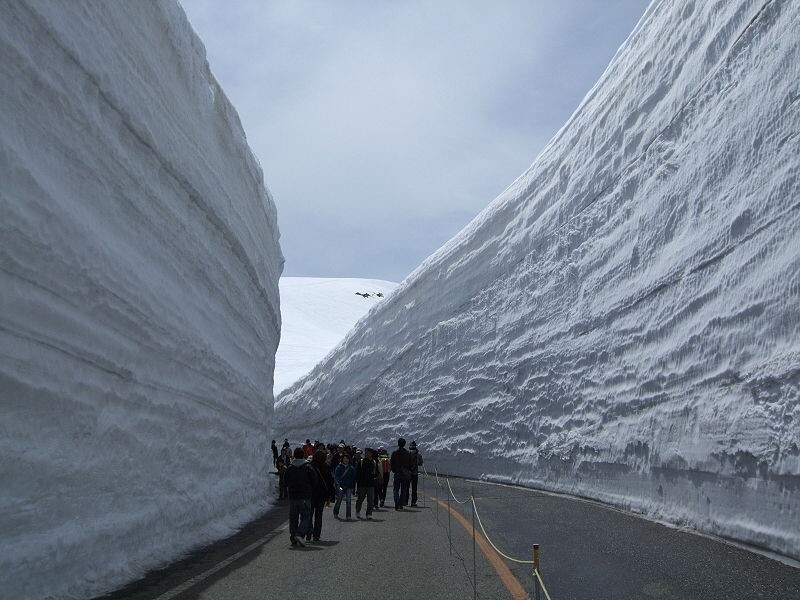 Снежный коридор в Японии будет держаться до середины июня...