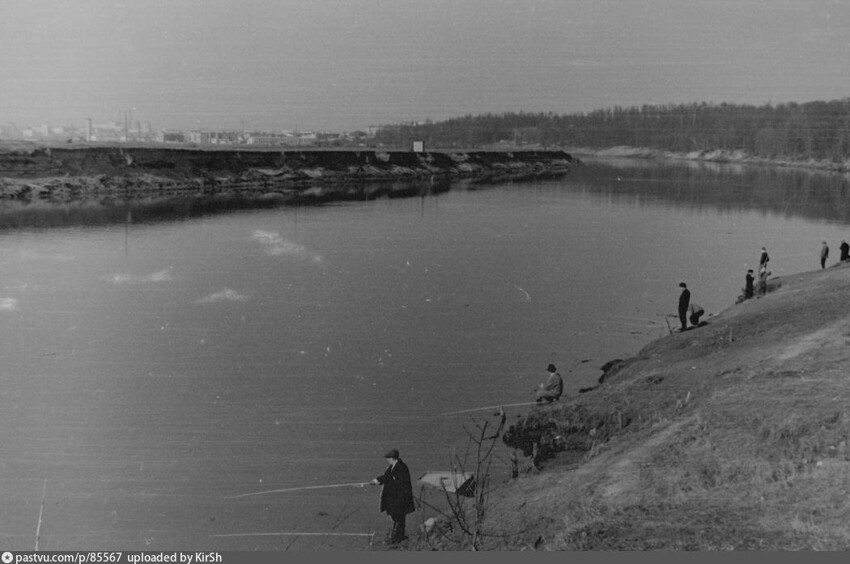 Кто водится в Москве-реке