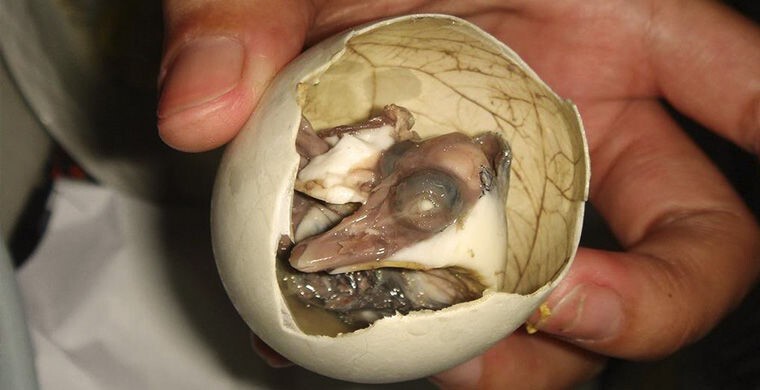 3. Они едят вареные яйца с зародышем внутри