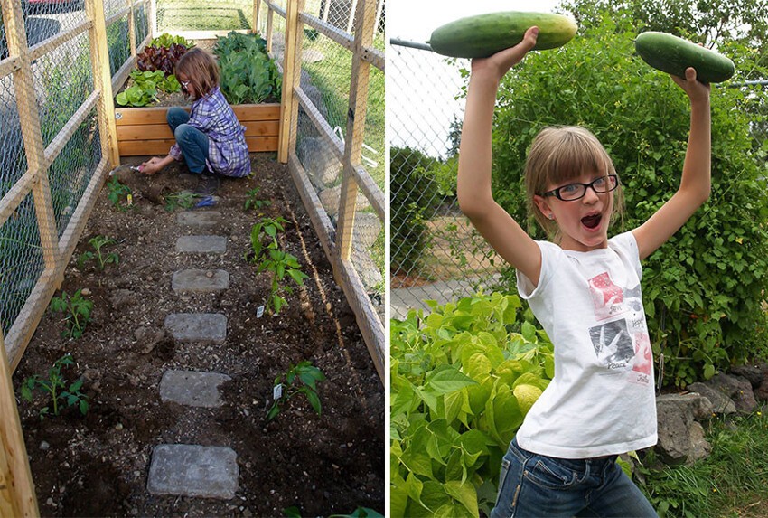 Девочка планирует вырастить 113 кг еды на своем огороде 