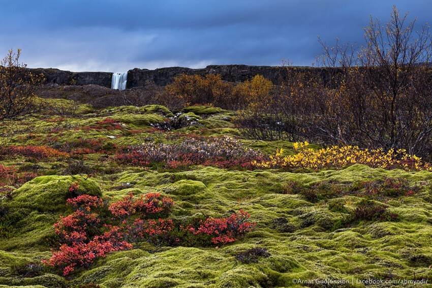 10. К северу от Вестероса: долина Тингведлир (Тингвеллир), Исландия
