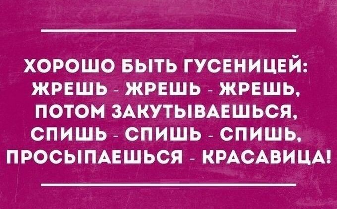 26 открыток от мастеров сарказма