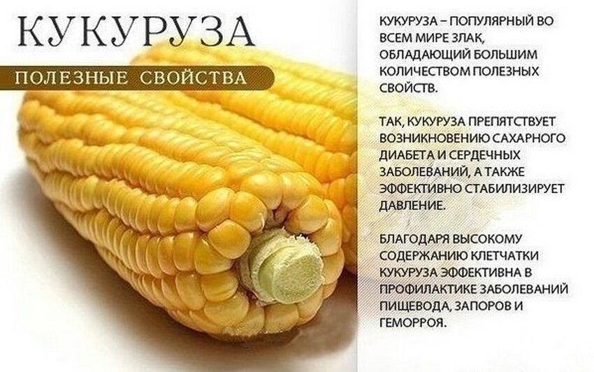 Польза оранжевых продуктов