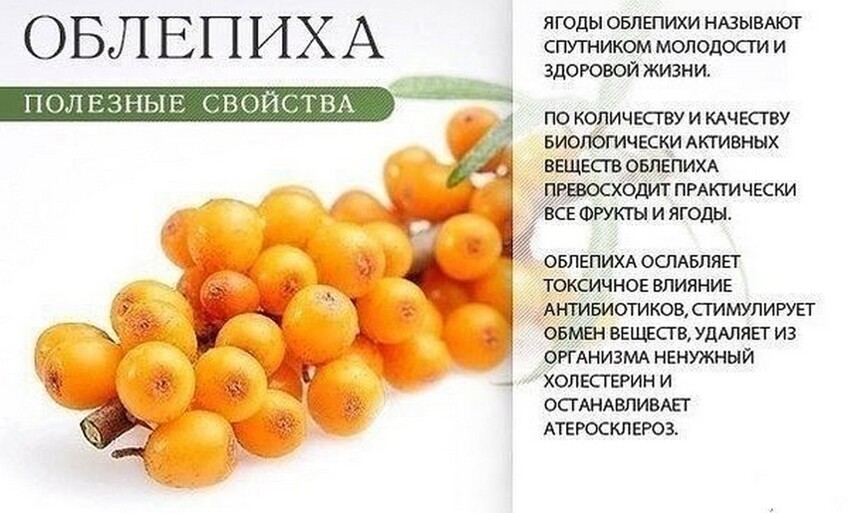 Польза оранжевых продуктов