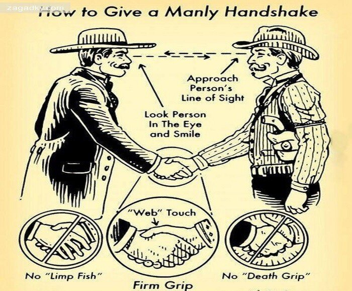 Вся правда о рукопожатии