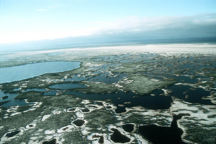 10. Австралия? Снова нет! Большие Васюганские болота в Западной Сибири.