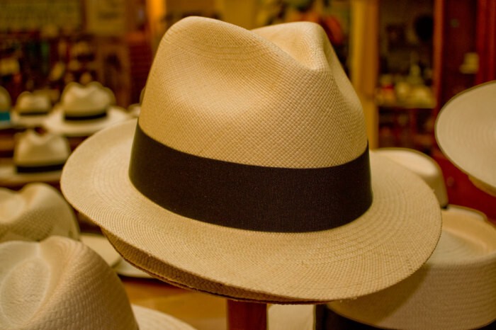 6. Шляпа панама