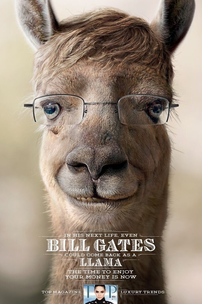 Журнал TOP: “В следующей жизни даже Билл Гейтс может оказаться ламой”