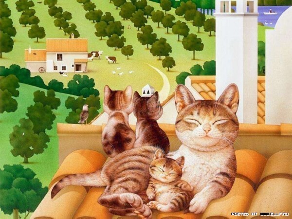  Макото Мурамацу и его кошки