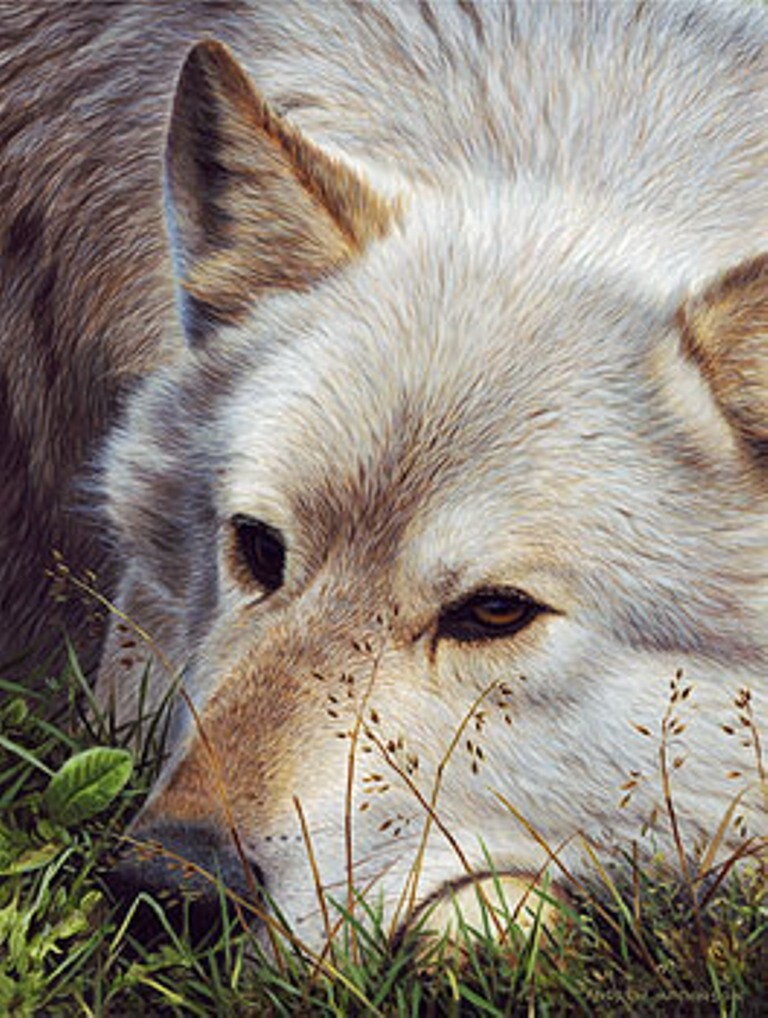 Волки на картинах Эндрю Хатчинсона