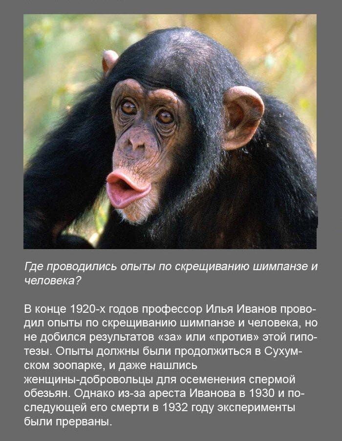 Вопросы и ответы