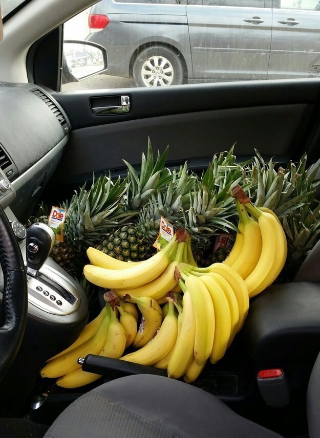 15. "Просыпаетесь вы как-то утром, садитесь в машину и видите на переднем сиденье 25 бананов и 13 ананасов. Вопрос тут может быть только один: кто это сделал?"