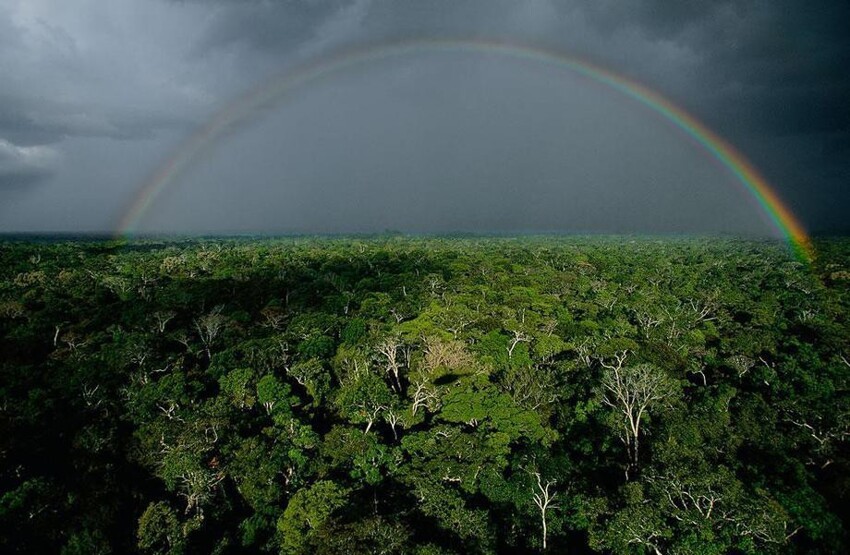  Радуга после дождя над тропическим лесом Амазонки, Бразилия (3°32’ S, 64°53’ W)