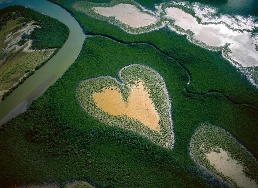 Сердце Voh в 1990 году, Новая Каледония (заморская территория Франции) (20°56’S, 164°39’E)