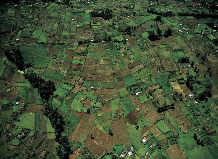 Малые сельскохозяйственные участки недалеко от Кисии, Кения (0°40’ S, 34°46’ E)