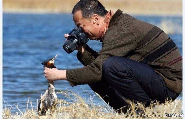 Как правильно фотографировать природу