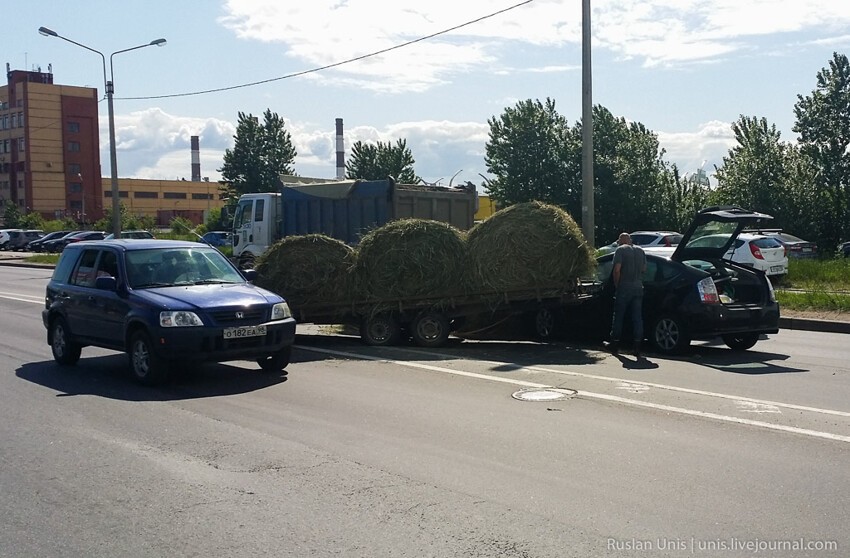 Тойоту Приус "осенило"