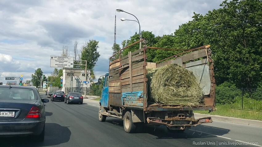 Тойоту Приус "осенило"