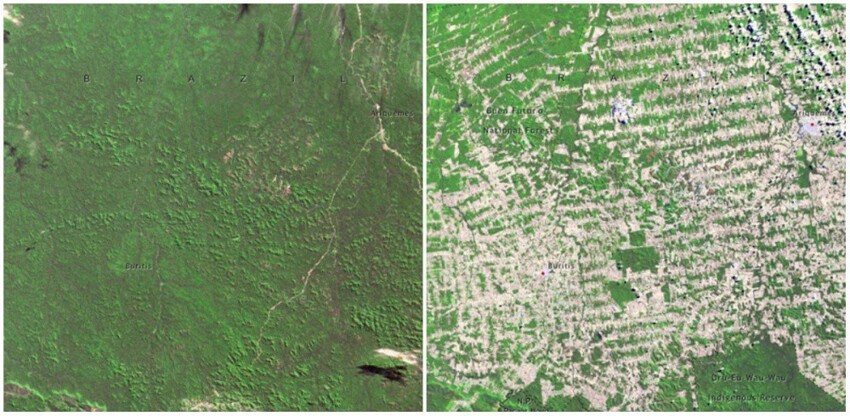 Земля тогда и сейчас. Колоссальные перемены в фотографиях NASA