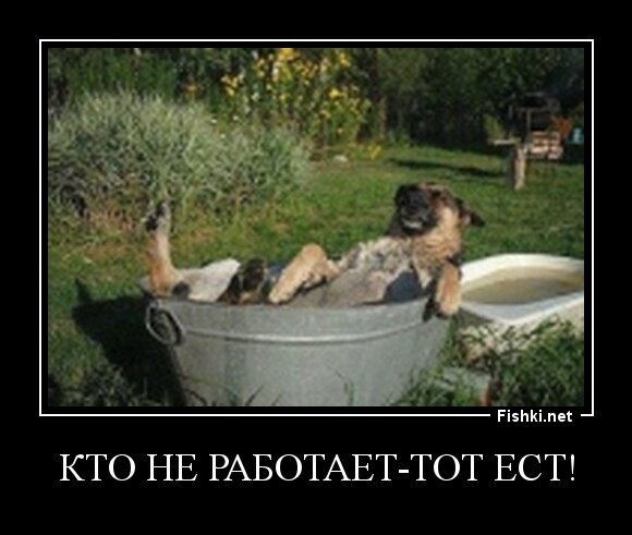 Кто не работает-тот ест!