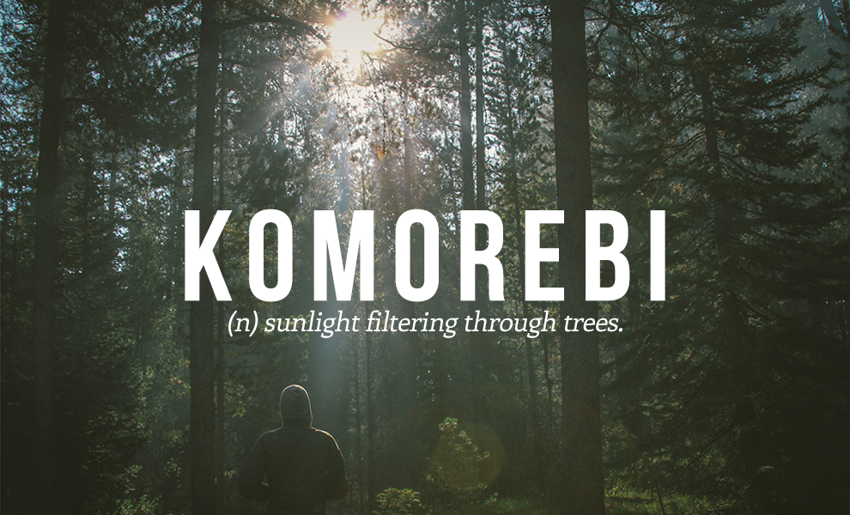 1. Komorebi - (сущ.) лучи солнца, пробивающиеся сквозь деревья