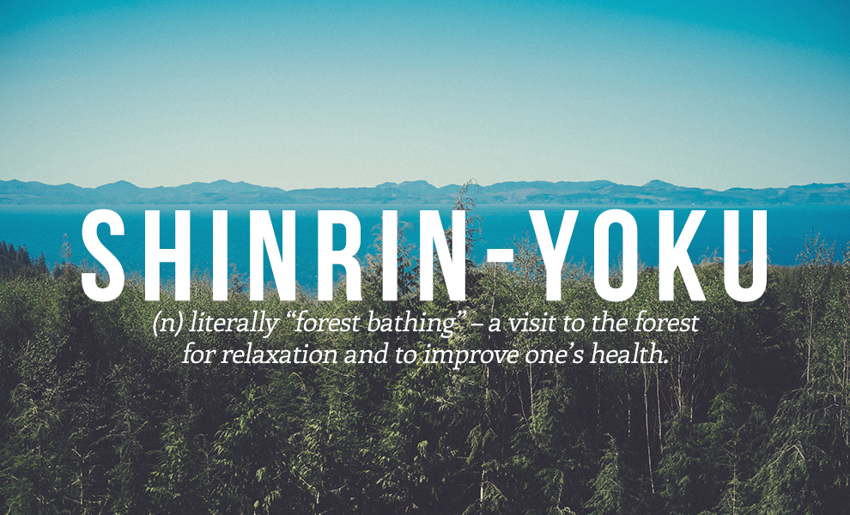 3. Shinrin-yoku - (сущ.) буквально "купание в лесу" - поход в лес для расслабления и поправки здоровья