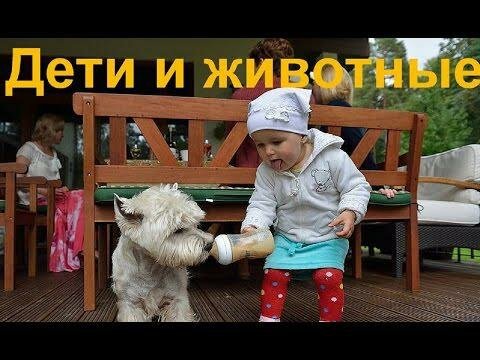 Эти забавные дети 